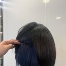 루시헤어 이미지