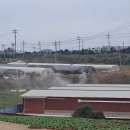 무안곤충농장 이미지