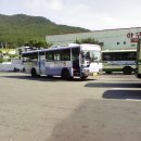 신한여객