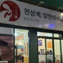천상계닭한마리 이미지