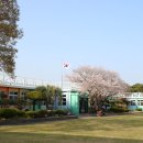 무지개초등학교 이미지