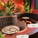 엘디스리젠트 이미지