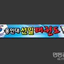 용인대 선일태권도 이미지