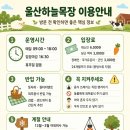 울산하늘목장 아이랑 후기｜양까지 안아본 동물 먹이체험 반나절 나들이