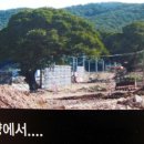 부산광역시 해운대구 이미지