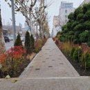 서울양원초등학교 이미지