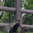 굿모닝농장2 이미지