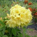 부리농장 이미지