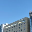탑동호텔 | 내돈내산💸 제주 탑동 워케이션 호텔 '맹그로브 제주시티' 스테이 더블 오션뷰 후기