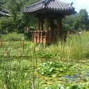 아름나라 Daum카페
