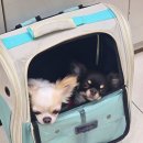 무념무상 이미지