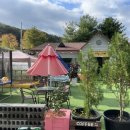 검성로-14 이미지