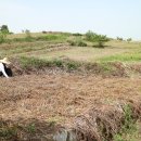 창선생활체육공원1 이미지