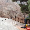 횡성온새미로