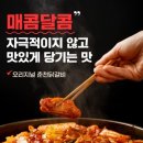 춘천마당닭갈비