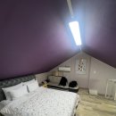 해바라기펜션 | 강원도 홍천 비발디파크 근처 숙소 추천｜고흐와해바라기펜션 ‘달리’ 독채 복층 솔직후기