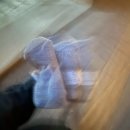 베르아델승마클럽 | 승마 실습 후기 (📍베르아델 승마클럽)