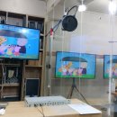 애니피그 이미지