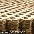 래티스(LATTICE) 이미지