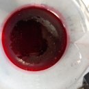 오토엘리펀트 이미지