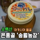 송월농장 이미지