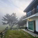 스테이코스트1 이미지