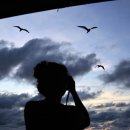 아름다운 항해 이미지