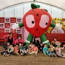 예심농장 이미지