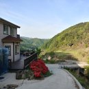 하늘녘싱싱팜 이미지