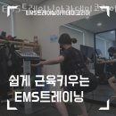 경희대박사태권아카데미 | 경기 수원 영통동 헬스장 EMS트레이닝아카데미코리아 가격 위치 시설정보