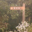 유정사