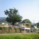 삼산이수 이미지