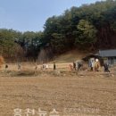 고양산아람마을(풍암2리) | 서석면 풍암2리, 지역 주민과 함께하는 플로깅 행사 개최