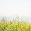 바람의언덕 리조트 펜션 이미지