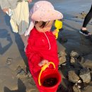 미형농장 | 태안 밧개해수욕장 조개체험