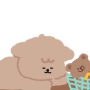민지창고 - 세종특별자치시 마음로 14 | 민지창고
