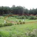 포항시남구45 이미지