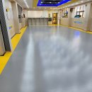 강호 체육관 이미지