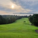 대아골프존 | 광주CC 9월 라운딩 간단 후기(feat. 스마트캐디의 샷트렉킹)