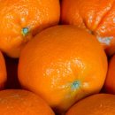 이즈스포츠클럽 이미지