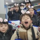 보림초 이미지