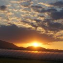 청구농장 이미지