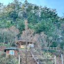 영암공원 이미지