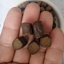 Dog&Cat | 강아지피부영양제 고양이피부영양제 마음반려 고함량 영양제! 피부 면역 관리 건강을위해~