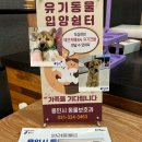 멍블리 애견카페 이미지