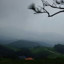 메밀목장 이미지