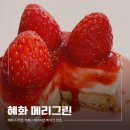 메리그린 | 진한 레어치즈케이크 뜻 그대로 담은 혜화 카페 ‘메리그린’