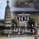 쌍계사 | 하동 쌍계사 아이와 방문 후기, 매화축제 후 들르기 좋았던 조용한 힐링 코스