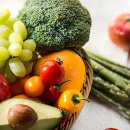 센터오브그래비티 이미지