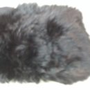 서천세탁소 이미지